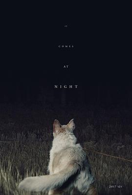 原名:It Comes at Night / 特里&middot;爱德华&middot;沙尔茨 / 乔尔&middot;埃哲顿 / 2017 (2017)