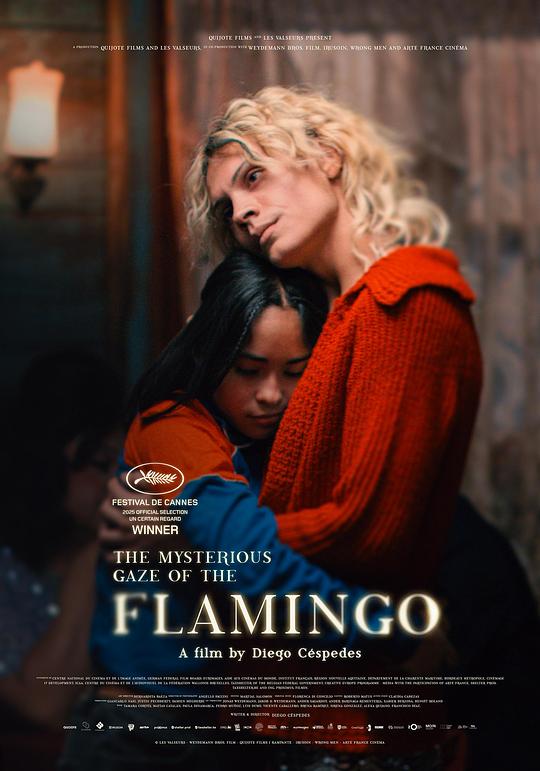 弗拉明戈的神秘眼神 / The Mysterious Gaze of the Flamingo