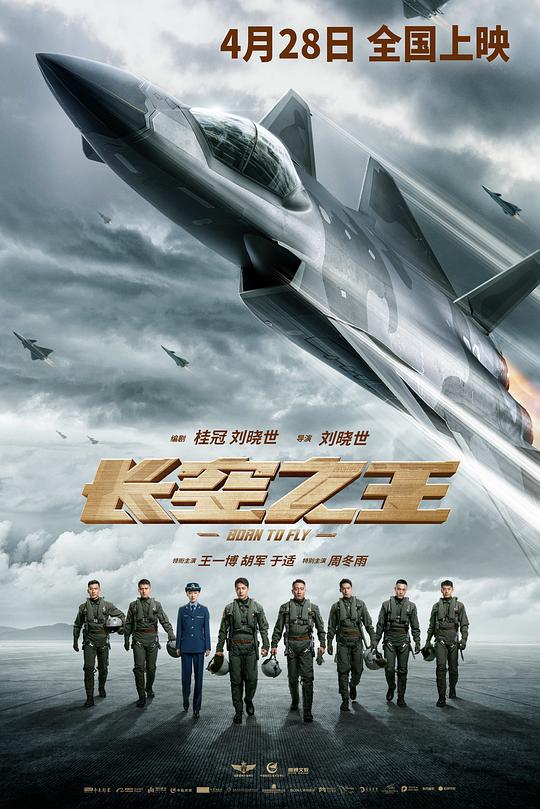 长空之王 / Born to Fly