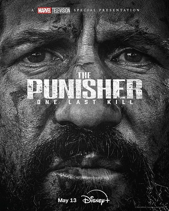 惩罚者：最后一击 / The Punisher: One Last Kill