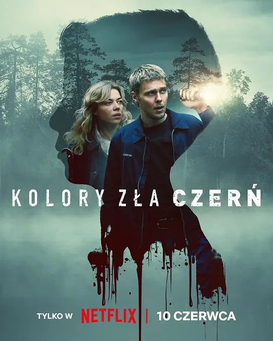 极恶原色：黑暗谜镇 / Kolory zla: Czern
