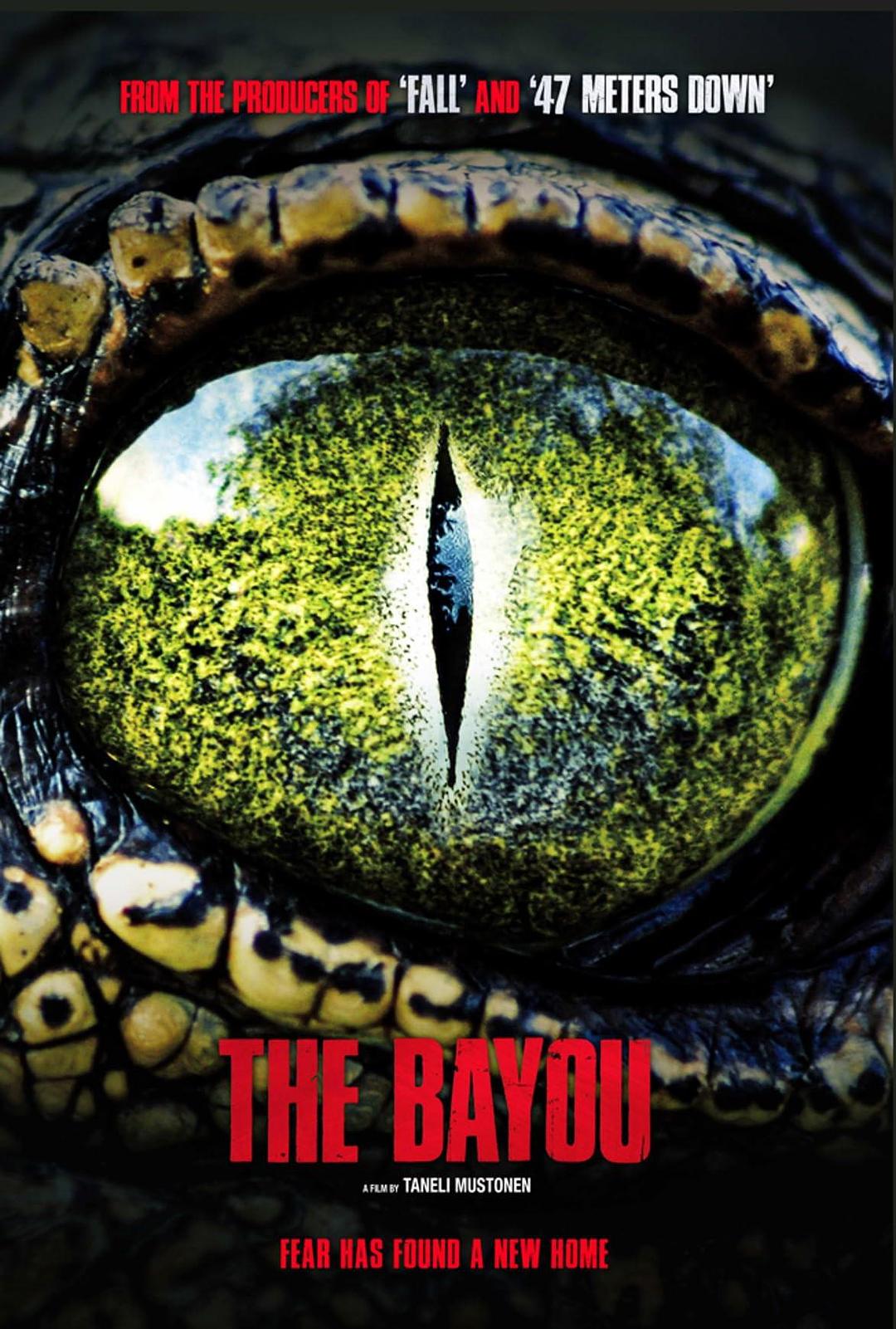 沼泽之地 / The Bayou